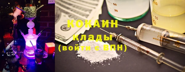 стаф Бежецк