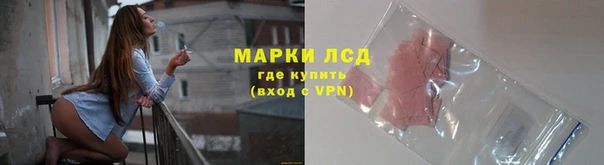 стаф Бежецк