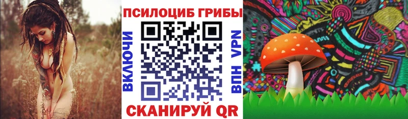 Псилоцибиновые грибы мицелий  закладка  Новоузенск 