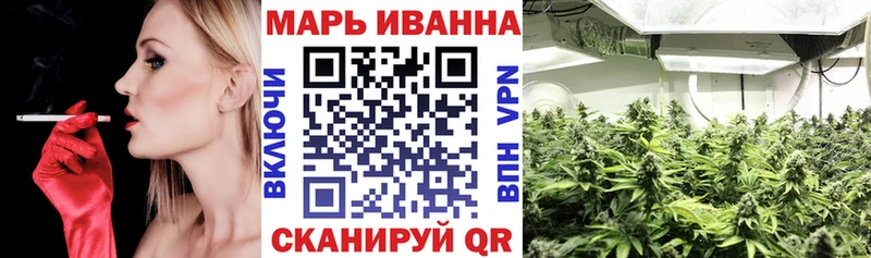 Бошки марихуана семена  Новоузенск 